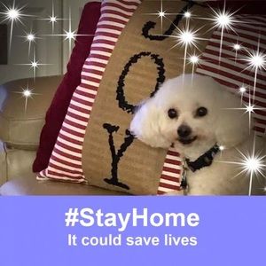 Meet your Posher, Cheryl